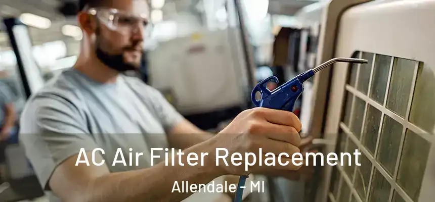  AC Air Filter Replacement Allendale - MI