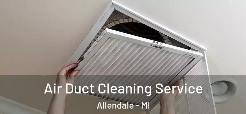  Air Duct Cleaning Service Allendale - MI