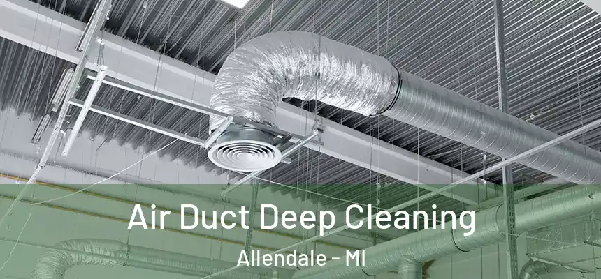  Air Duct Deep Cleaning Allendale - MI