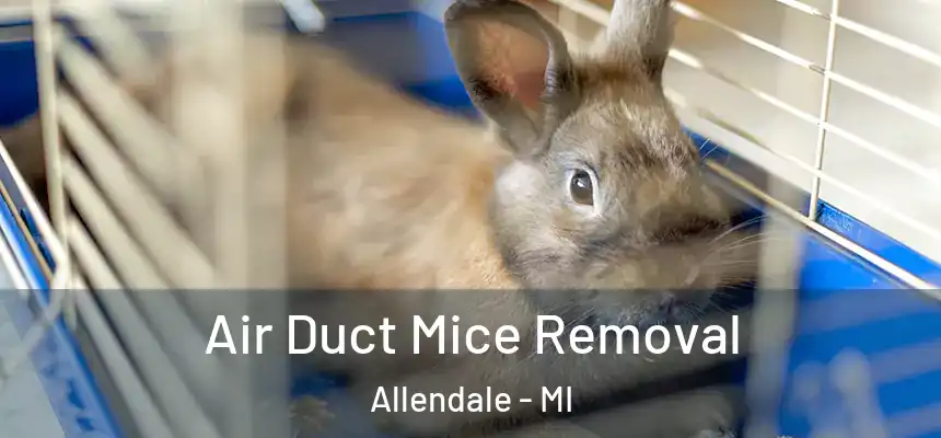  Air Duct Mice Removal Allendale - MI