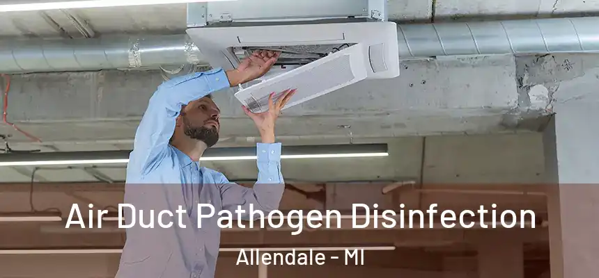  Air Duct Pathogen Disinfection Allendale - MI