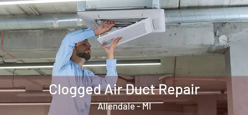  Clogged Air Duct Repair Allendale - MI