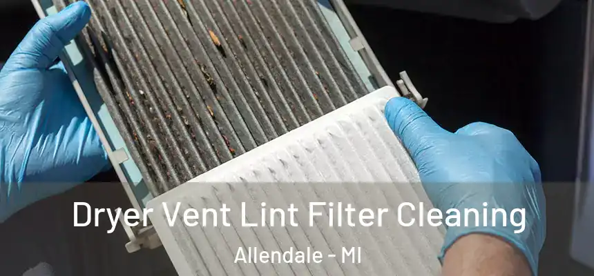  Dryer Vent Lint Filter Cleaning Allendale - MI
