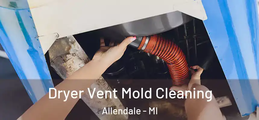  Dryer Vent Mold Cleaning Allendale - MI