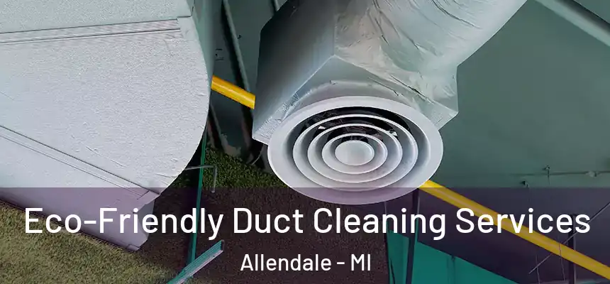  Eco-Friendly Duct Cleaning Services Allendale - MI
