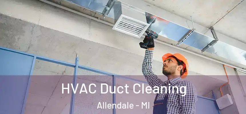  HVAC Duct Cleaning Allendale - MI