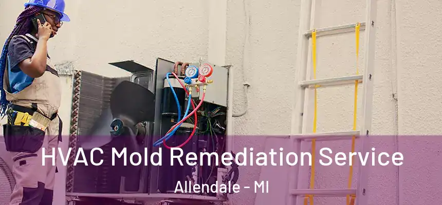  HVAC Mold Remediation Service Allendale - MI