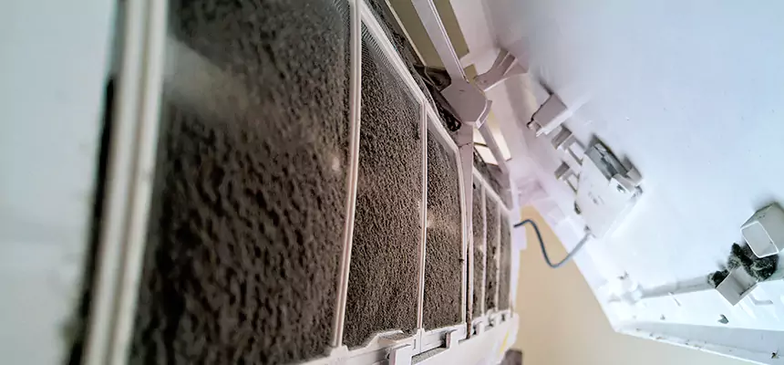 Preventive Air Duct Bacteria Removal in Allendale