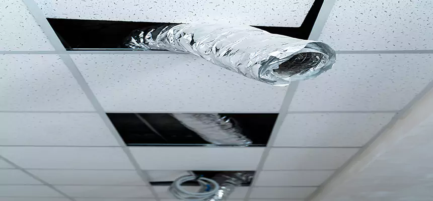 Our Air Duct Pet Hair Removal Services in Allendale, MI