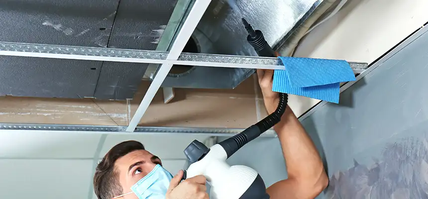 Our Air Duct Rodent Removal Services in Allendale, MI
