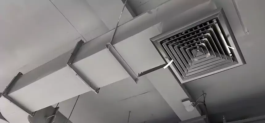 Restorative Allergy Relief Vent Cleaning – Coil, Blower & Housing Detail in Allendale