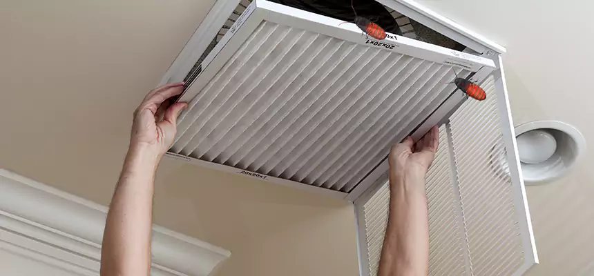 Our Insect Removal from Air Ducts Services in Allendale, MI