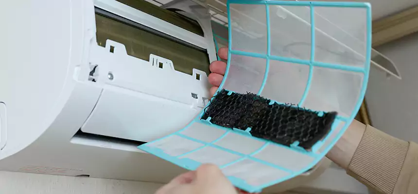 Gentle Ductwork Odor-Control Pet Dander Duct Cleaning in Allendale, MI