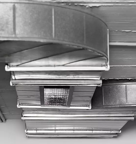 Professional Air Duct Pest Removal in Allendale, MI