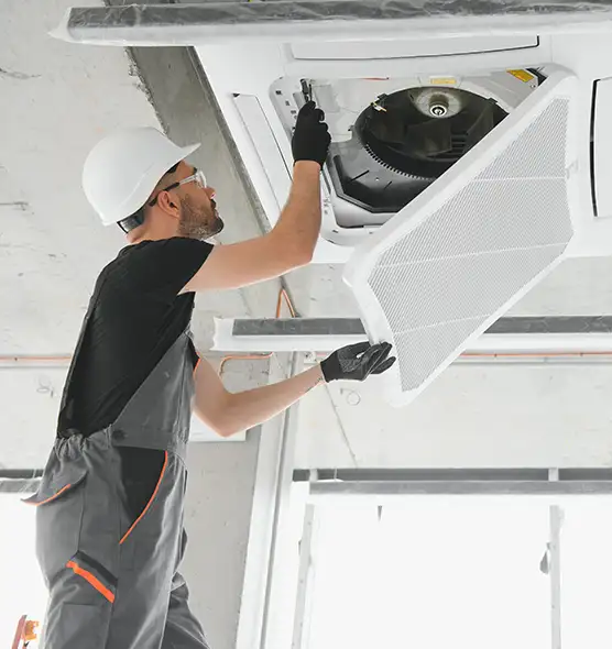 About Air Duct Rodent Removal in Allendale, MI