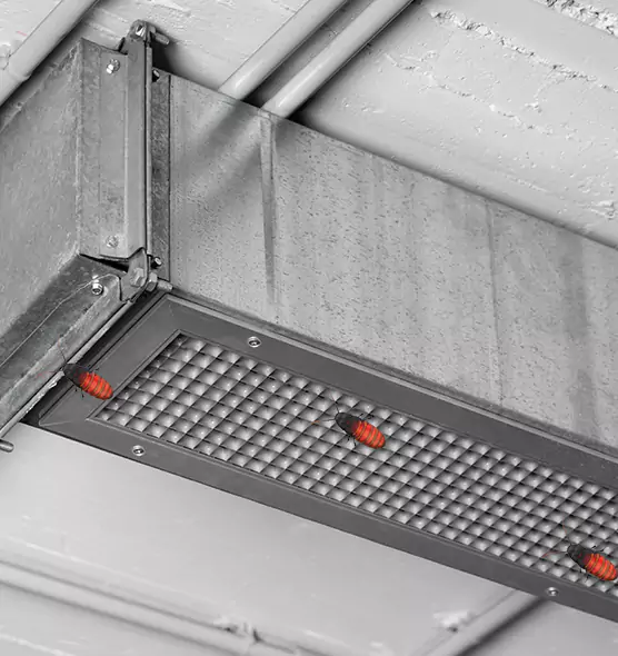 Affordable Insect Removal from Air Ducts in Allendale, MI