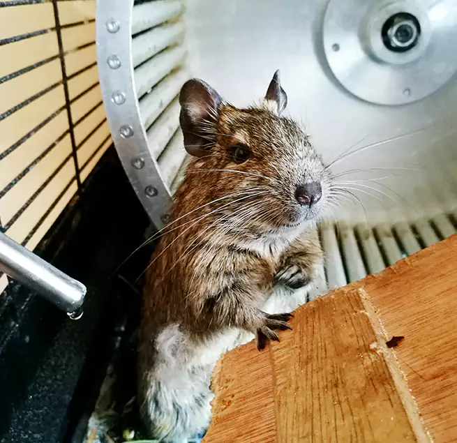 Why Homeowners & Businesses Trust Us Allendale, MI?