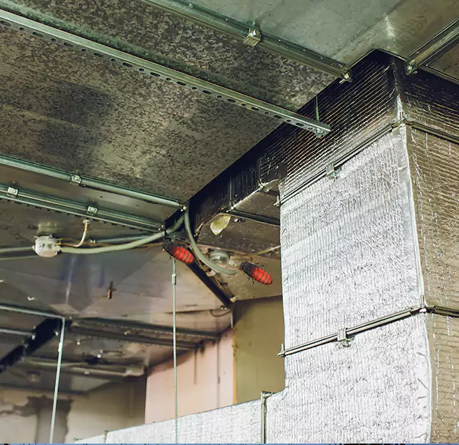 Why Homeowners & Businesses Trust Us Allendale, MI?