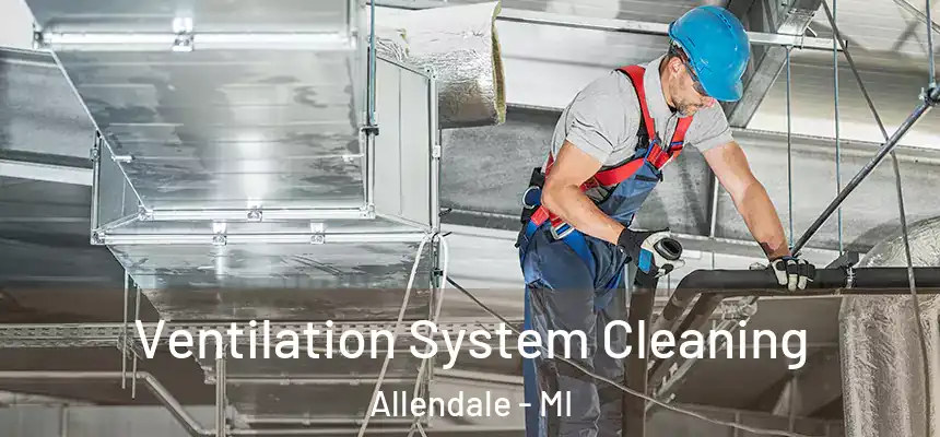  Ventilation System Cleaning Allendale - MI